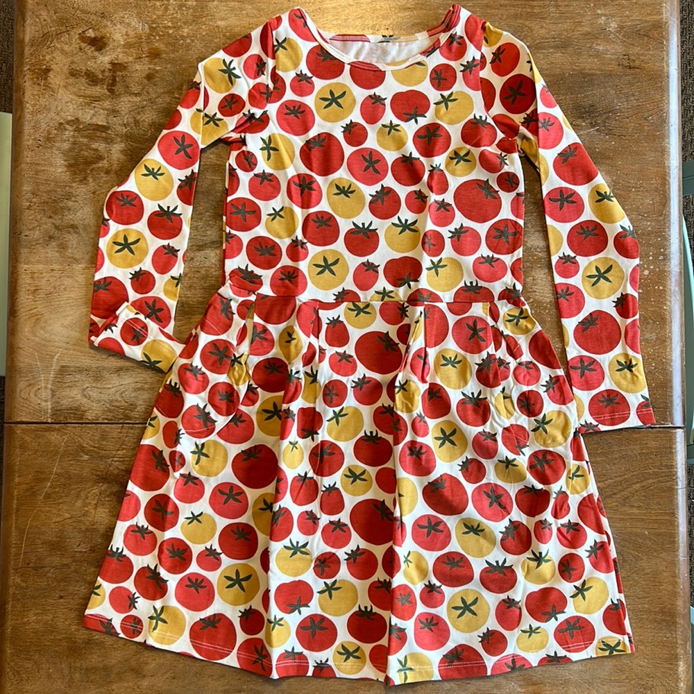 Winter Water Factory Madison Dress-Tomatoes-size 10-NEW